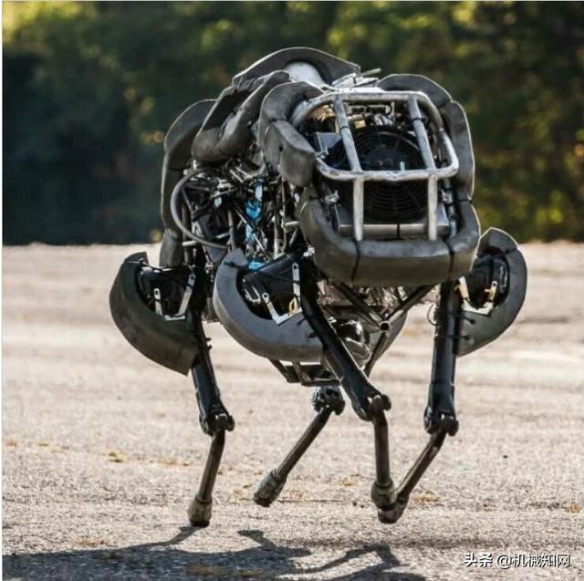 Global Top 20 AI Robots ! Please take a look whats the age now ?(图18)