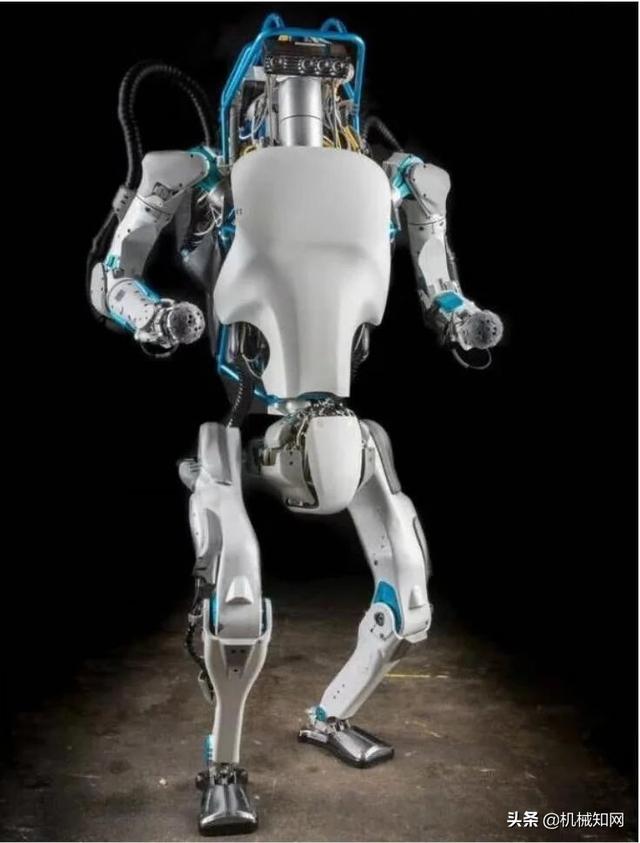 Global Top 20 AI Robots ! Please take a look whats the age now ?(图15)