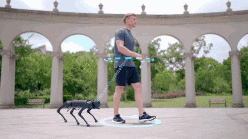 Four-legged Robot Dog